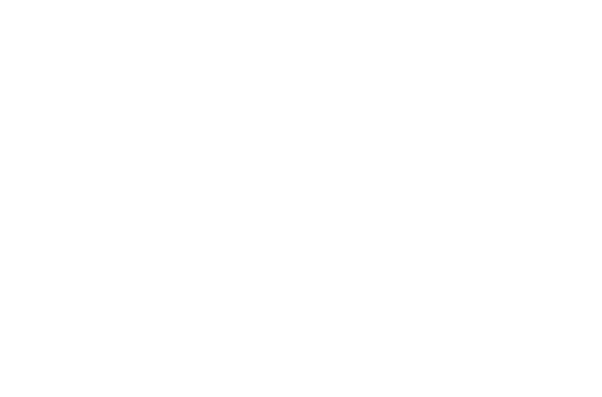Valtrion Wealth Academy Logo